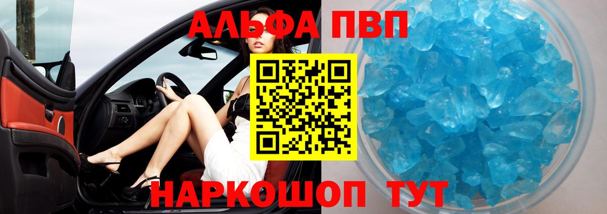 A PVP СК Костомукша