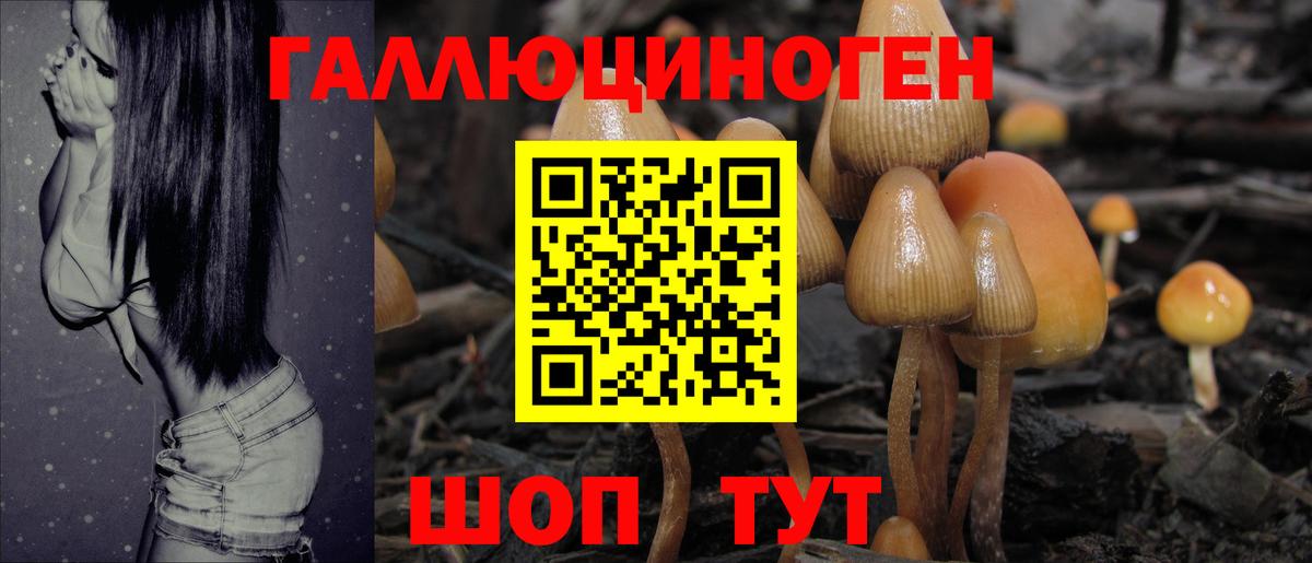 Псилоцибиновые грибы ЛСД Костомукша