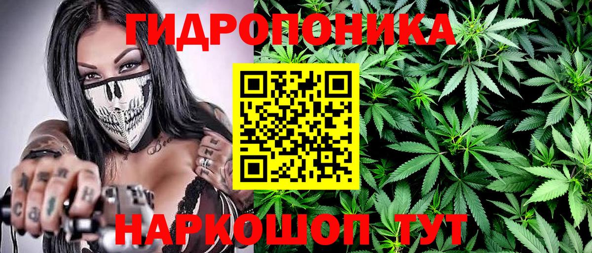 Бошки Шишки SATIVA & INDICA Костомукша